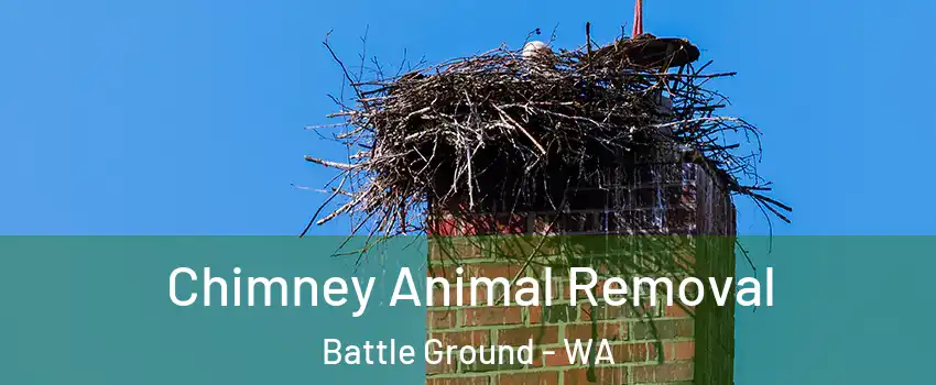 Chimney Animal Removal Battle Ground - WA