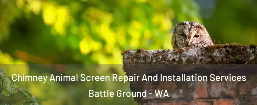 Chimney Animal Screen Repair And Installation Services Battle Ground - WA