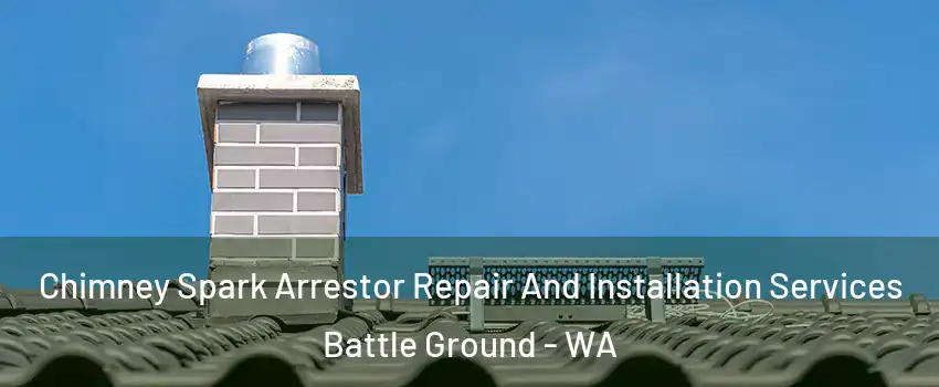  Chimney Spark Arrestor Repair And Installation Services Battle Ground - WA