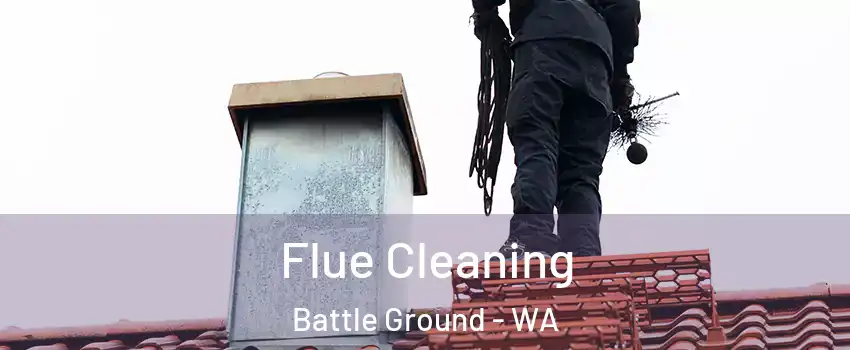  Flue Cleaning Battle Ground - WA