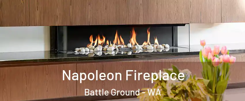  Napoleon Fireplace Battle Ground - WA